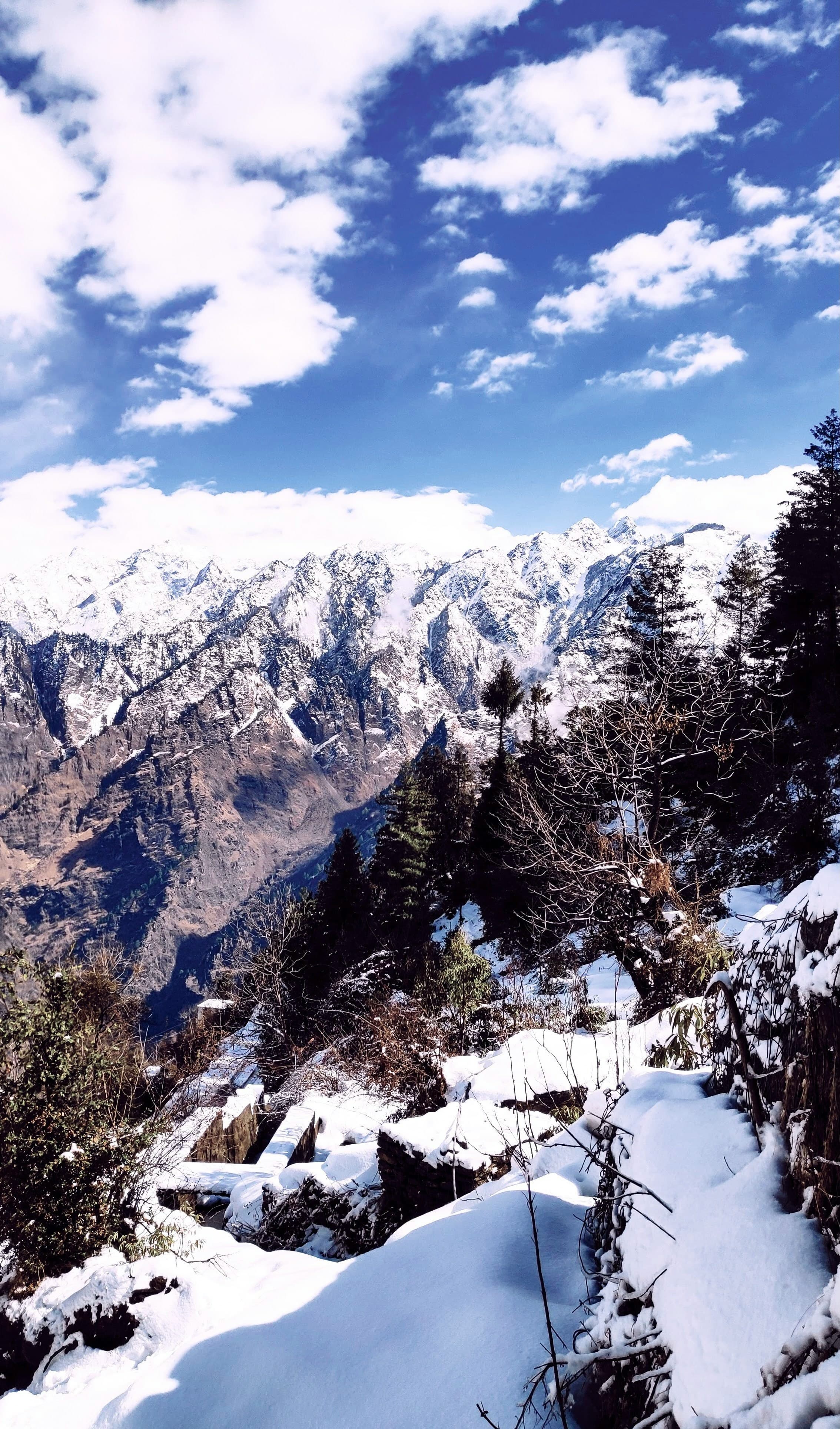 Auli mountain landscape with snow, tall trees, and a wide Himalayan skyline